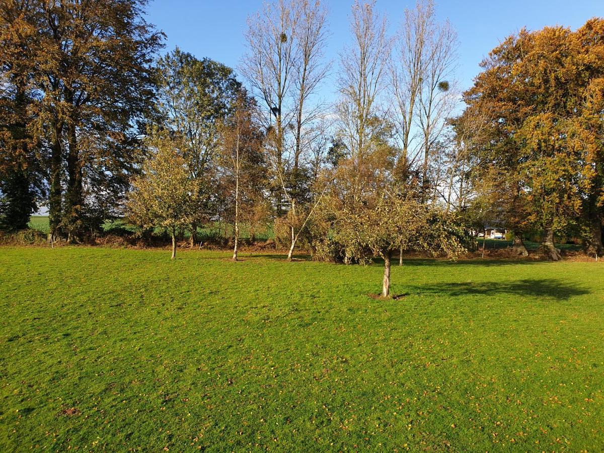 Holiday home Le Du Bois Du Fil *